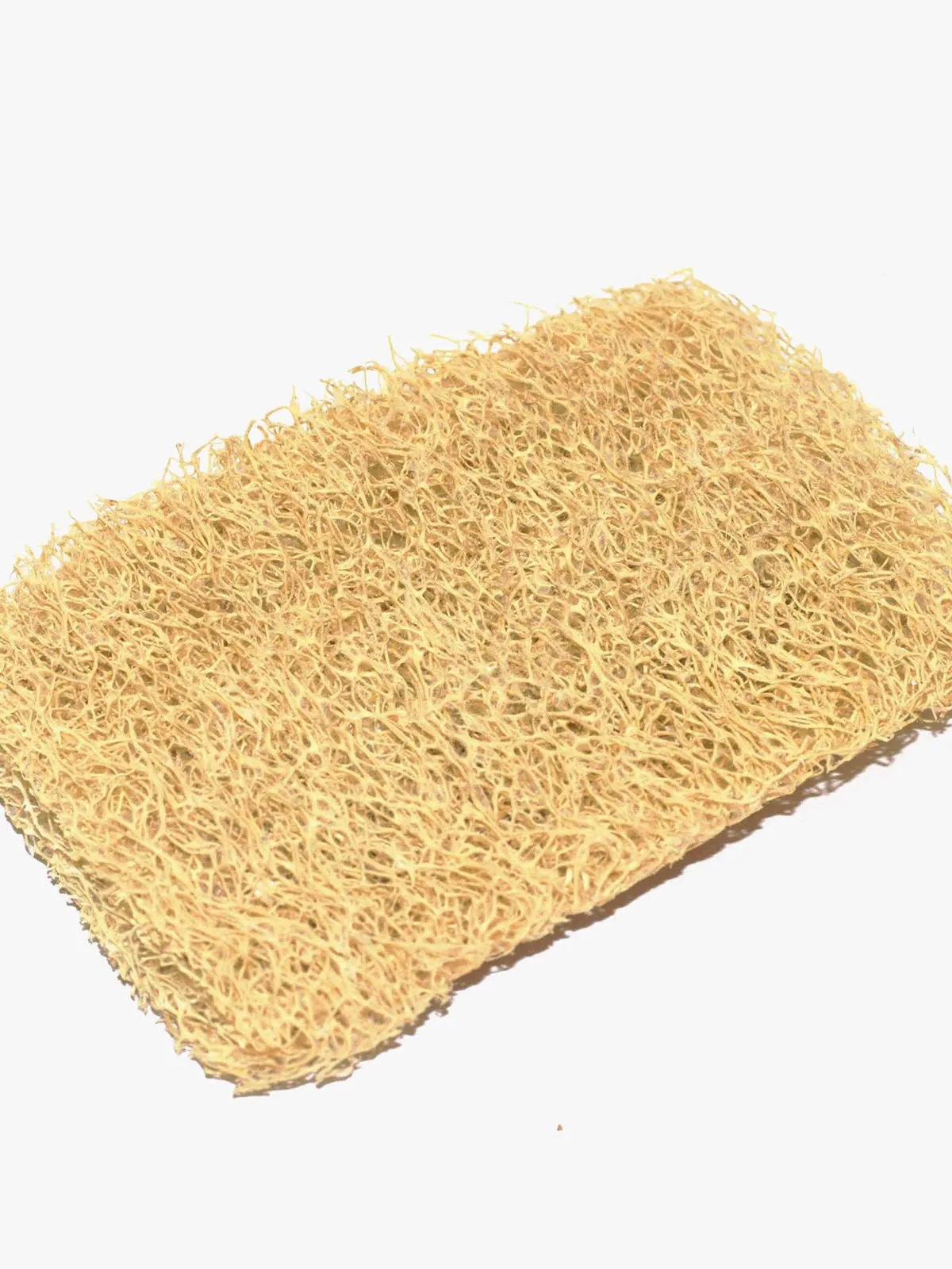 Loofah Scrubber - Pack of 6